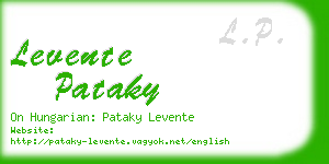 levente pataky business card